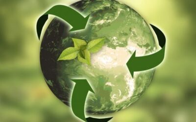 Despertando la Conciencia Ecológica: Cuidando nuestro Planeta Juntos